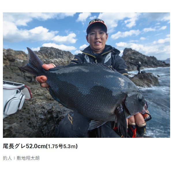 23がま磯 アテンダー3